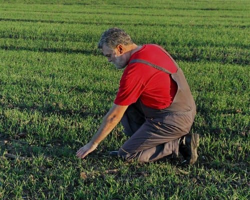 qu'est-ce que la garantie des cautions sur marchés export ?